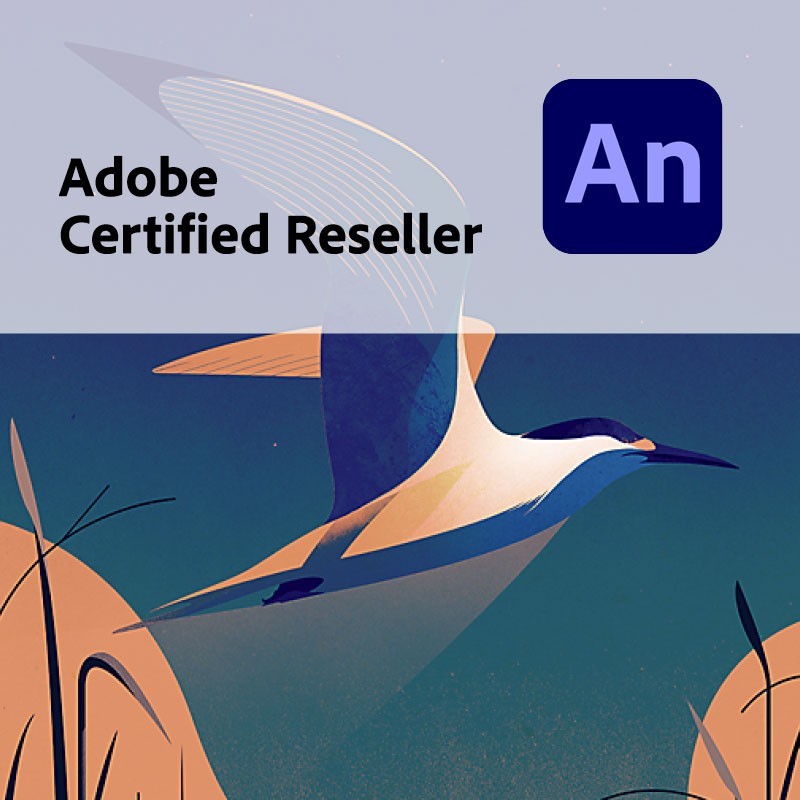 Productafbeelding met het logo van Animate en Cerfitied Adobe Reseller.