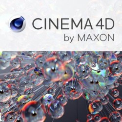 Productafbeelding met het logo van Cinema 4D R25
