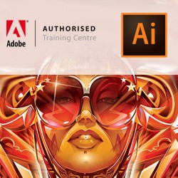 Basis Pro Cursus Adobe Illustrator  | do 6 juni 2024 | 7 - 9 personen | Klassikaal op uw eigen locatie